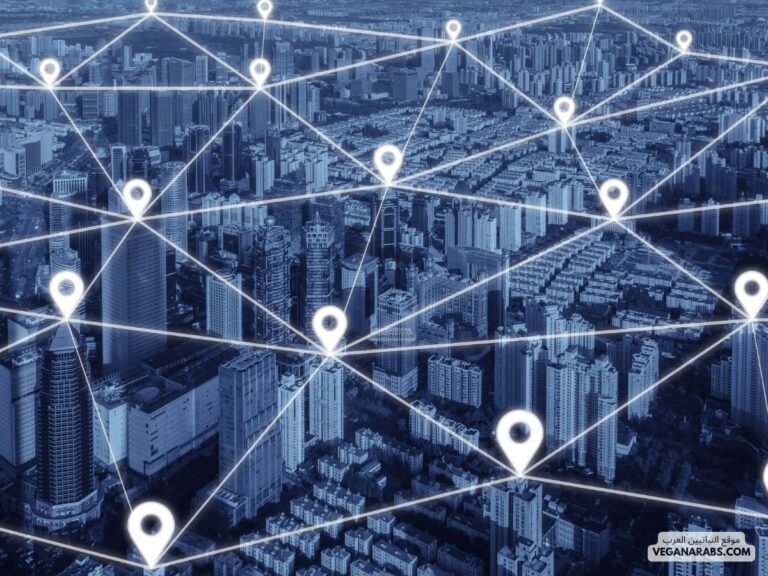  أنواع الشبكات