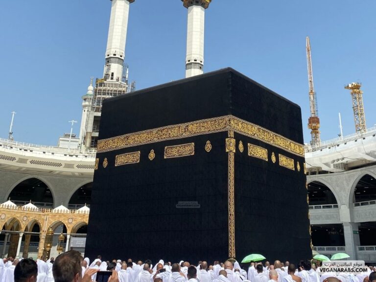 أول واجب على الإنسان هو: