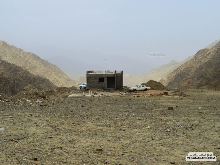 اين تقع بني مالك