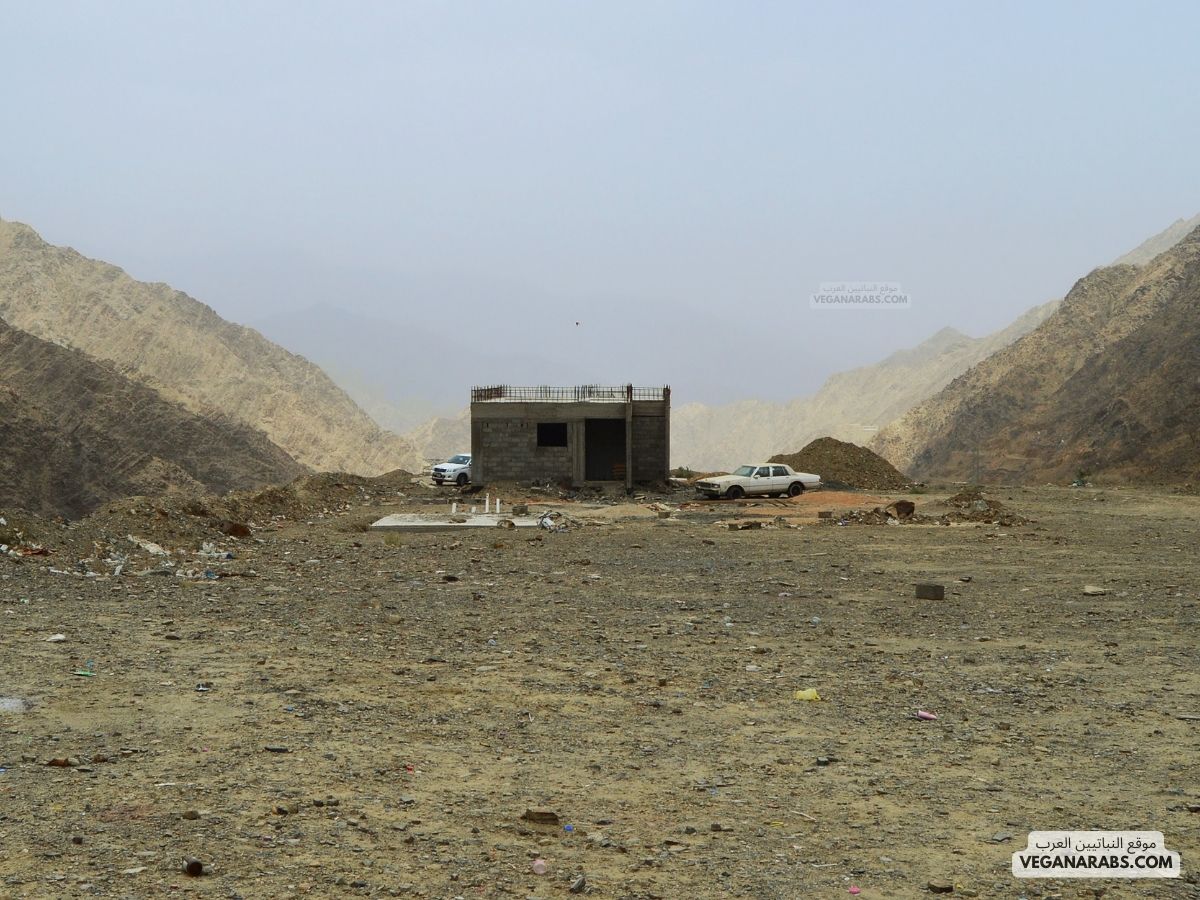 اين تقع بني مالك