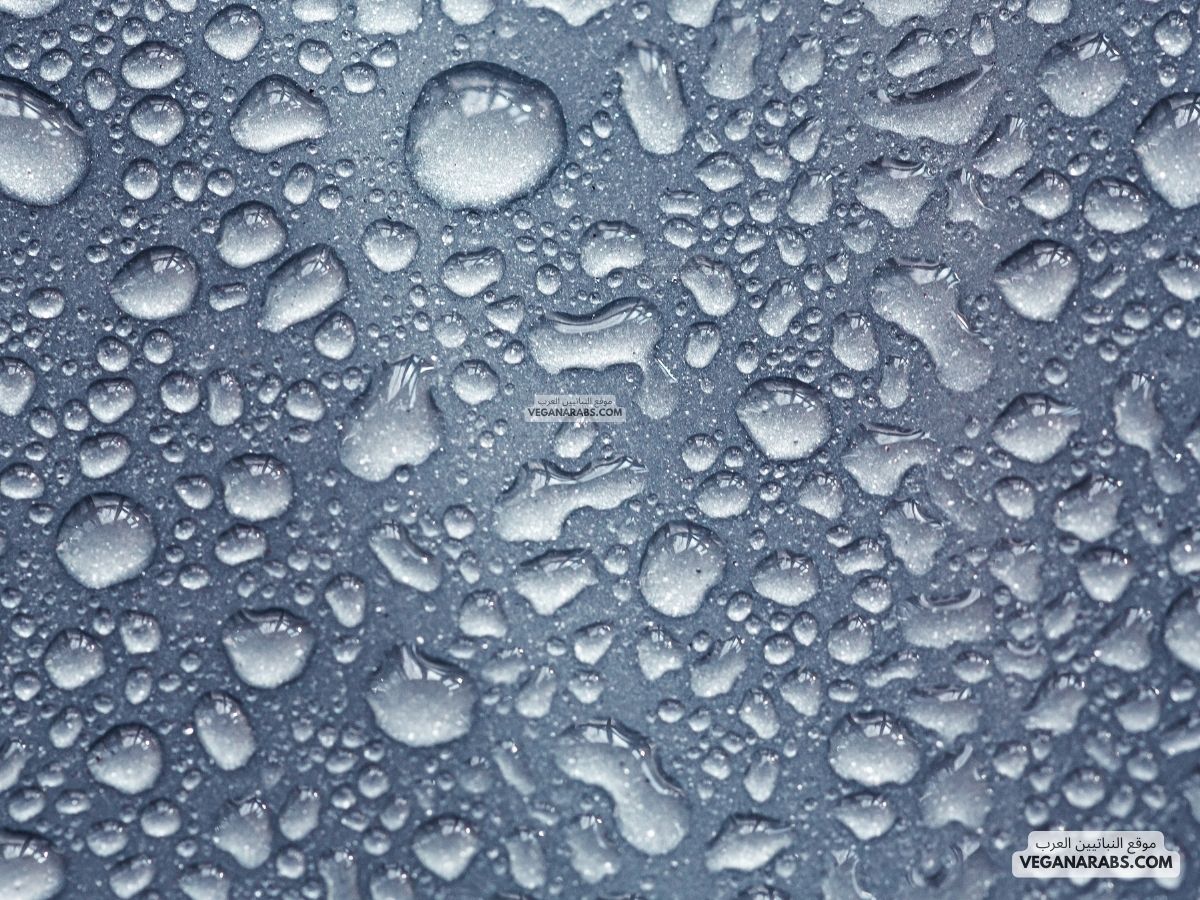 نتيجة لعملية التكثف ينتقل بخار الماء من المسطحات المائية إلى طبقات الجو.