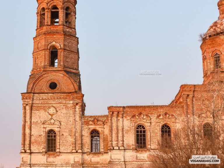 من الأماكن التي شهدت ظهورالحركة العباسية: