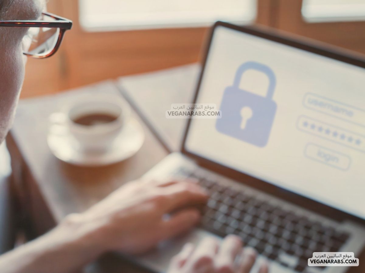 حماية البيانات