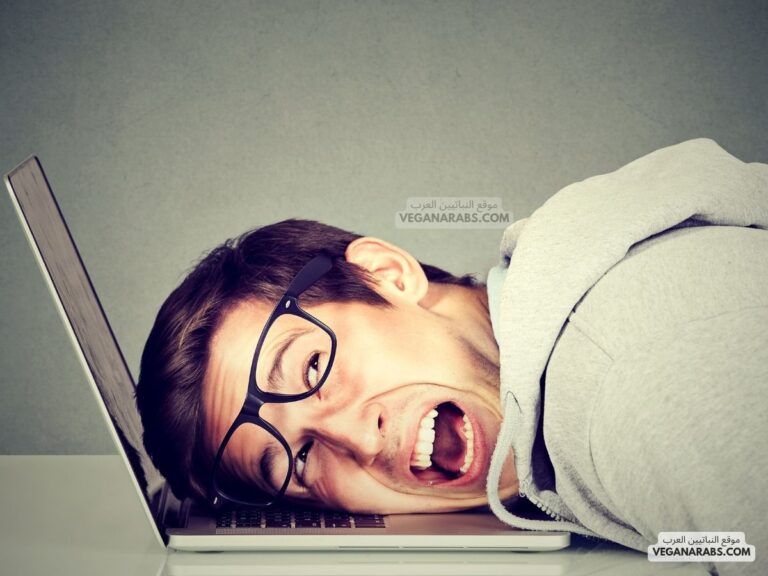 حل مشكلة بطء الكمبيوتر ويندوز 10