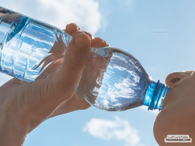 فوائد الماء