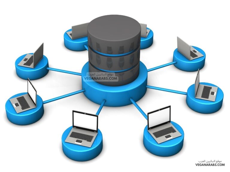 أنواع قواعد البيانات