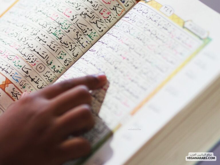 كيف اعرف احكام التجويد في القران؟