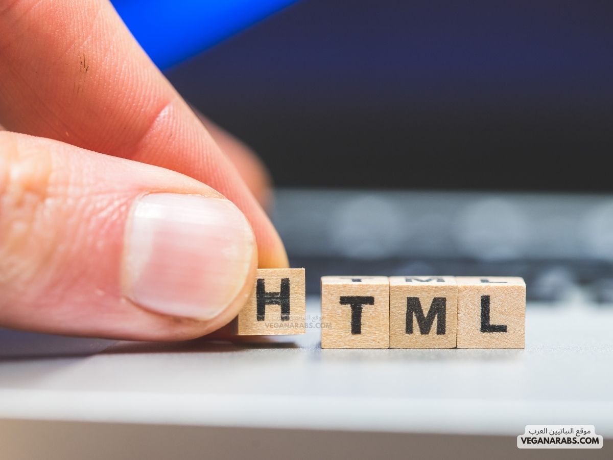 تعريف لغة HTML
