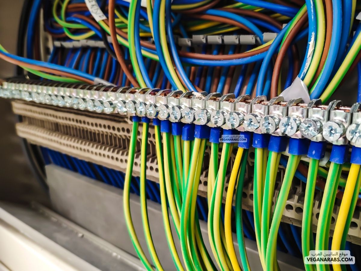 أنواع الشبكات السلكية