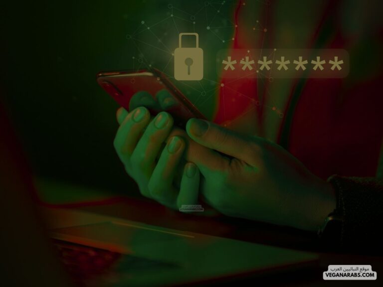 أنواع الأمن السيبراني