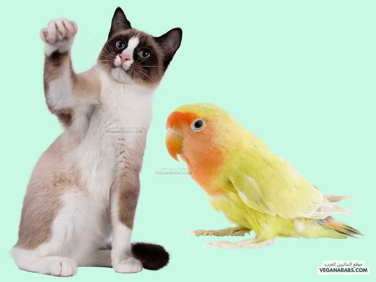 ما ينطبق على تنفس الطيور والثدييات معًا: