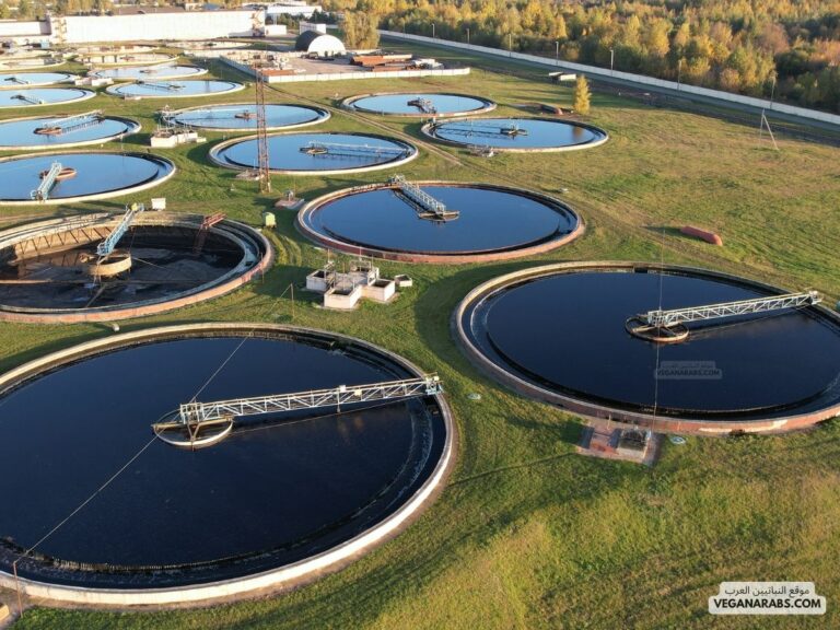 ترشيد استهلاك الماء