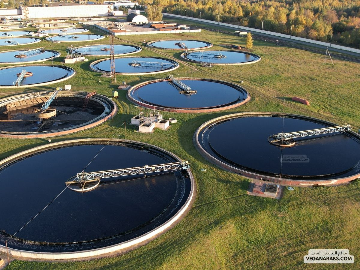 ترشيد استهلاك الماء