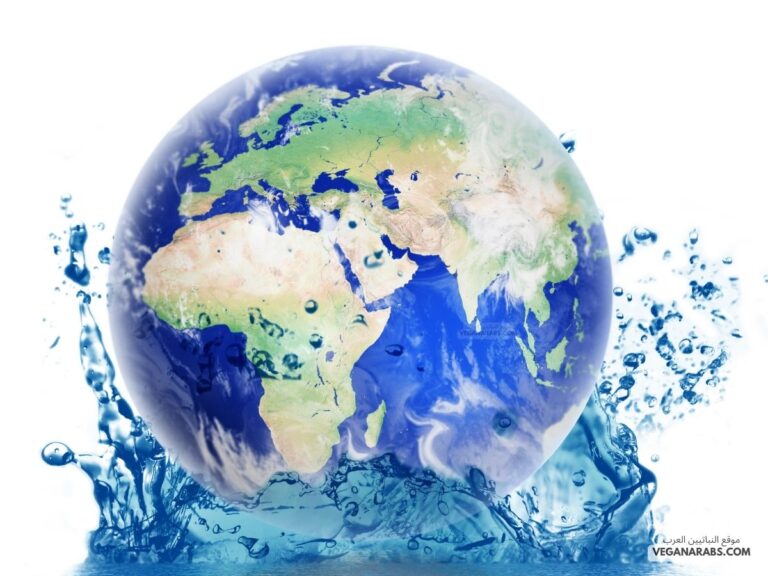 يشكل الماء النسبة الأغلب من مساحة الكرة الأرضية.