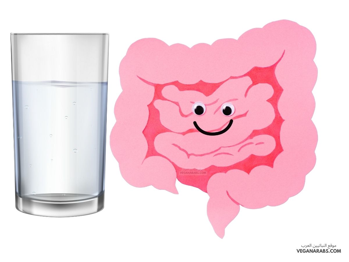 يتحقق الاتزان الداخلي عندما يمتص الماء من الطعام غير المهضوم في................