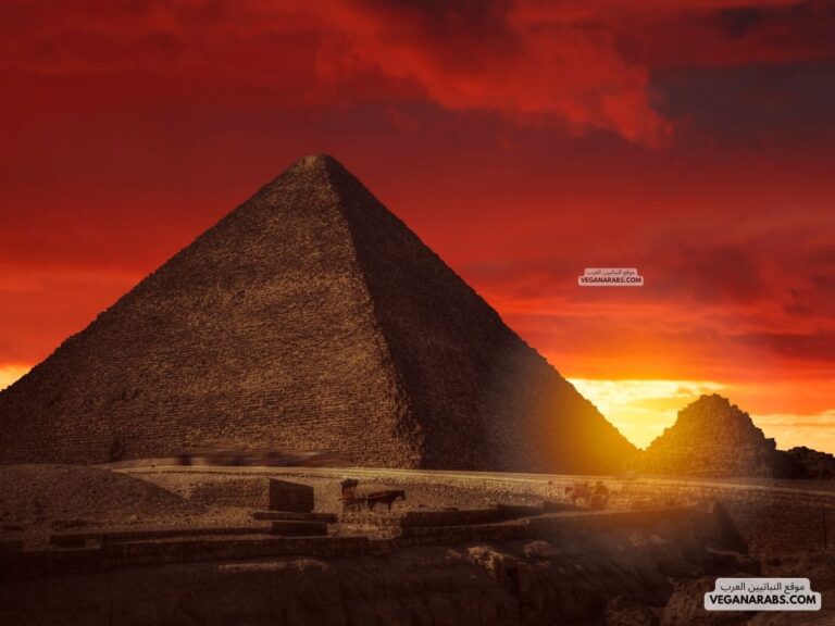 ماهو المشروع الذي يعد اول وجهه سياحيه في العالم