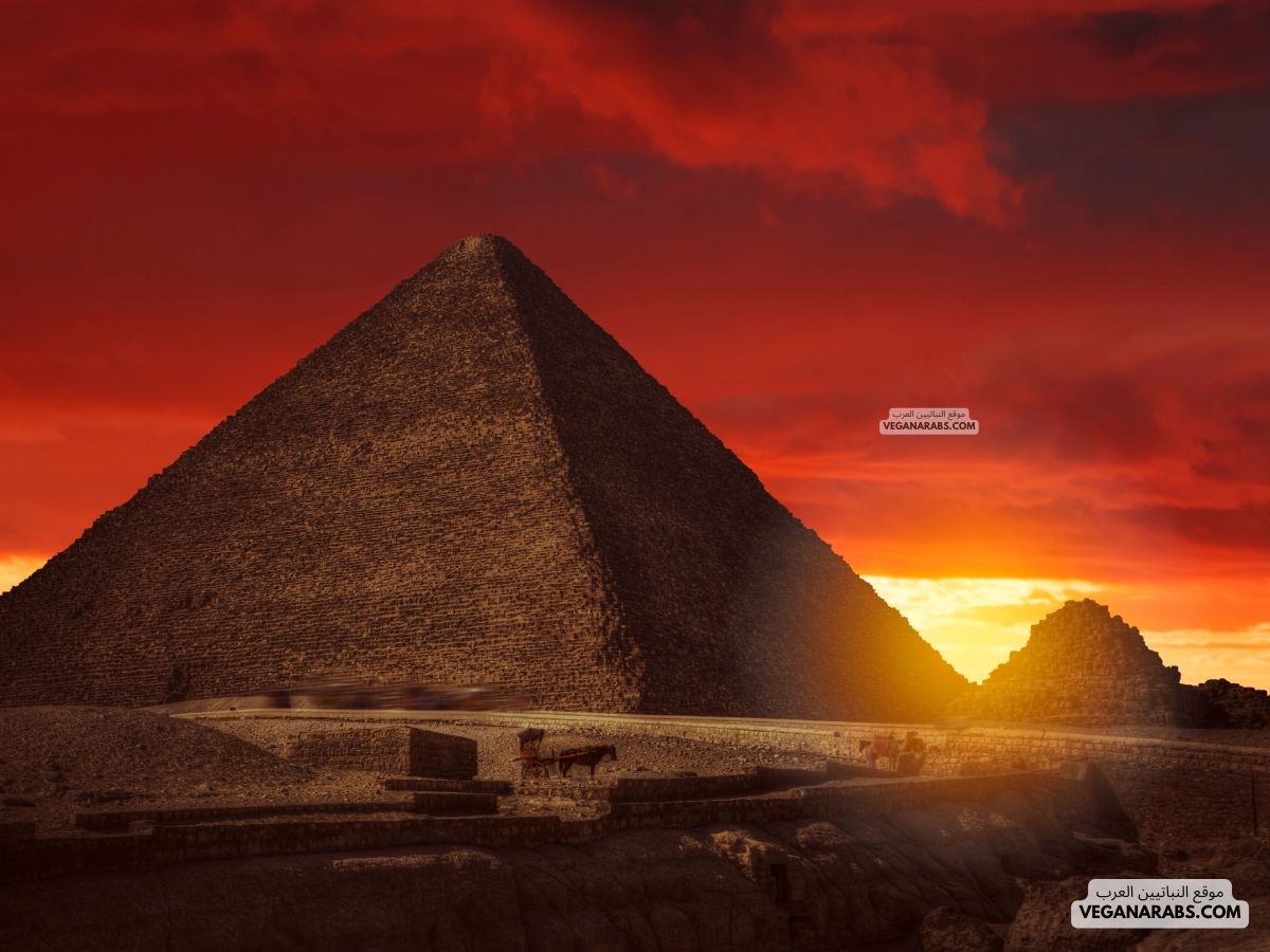 ماهو المشروع الذي يعد اول وجهه سياحيه في العالم