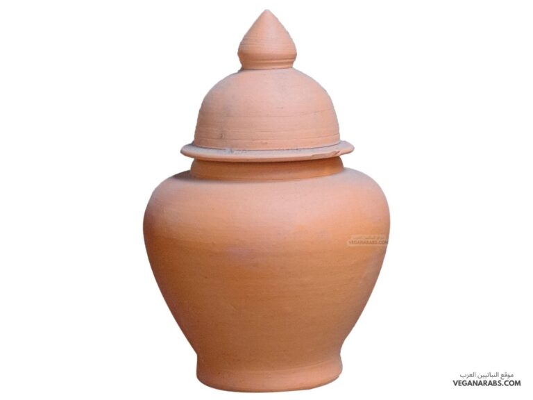 دورق الماء يصنع من الطين العادي