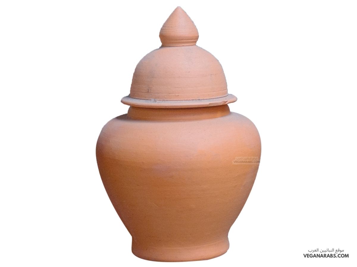 دورق الماء يصنع من الطين العادي