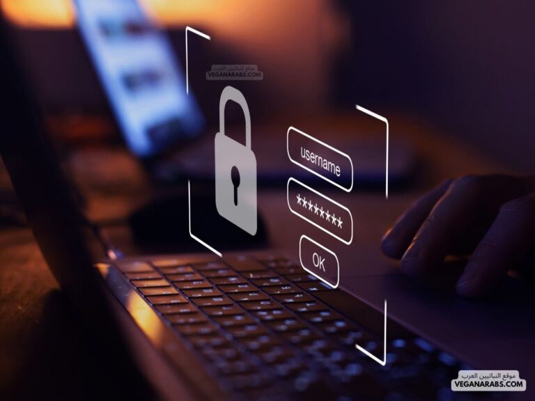 تخصص الامن السيبراني