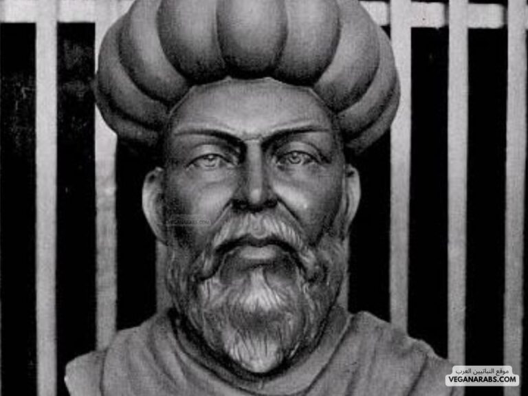 معلومات عن ابن النفيس