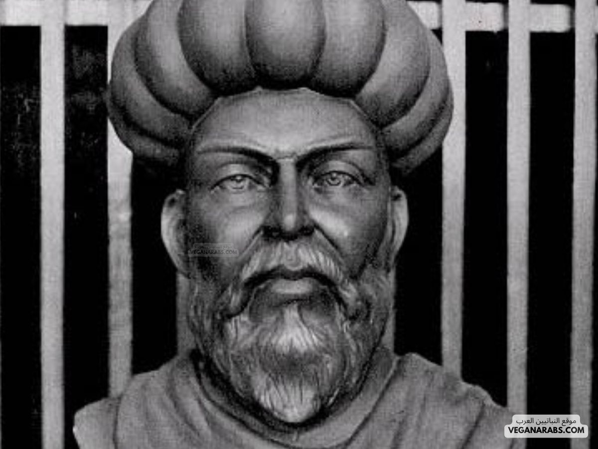 معلومات عن ابن النفيس