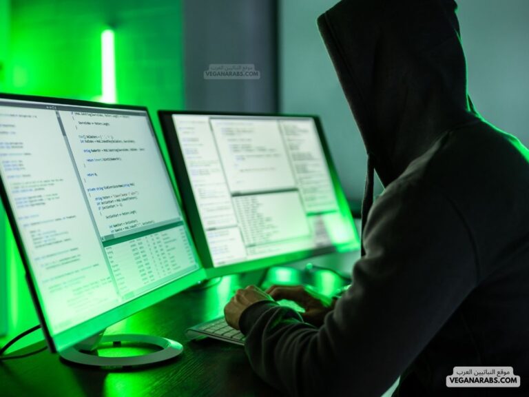 الامن السيبراني