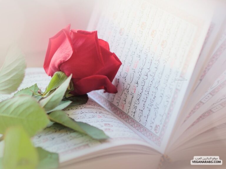 كم عدد سور القران