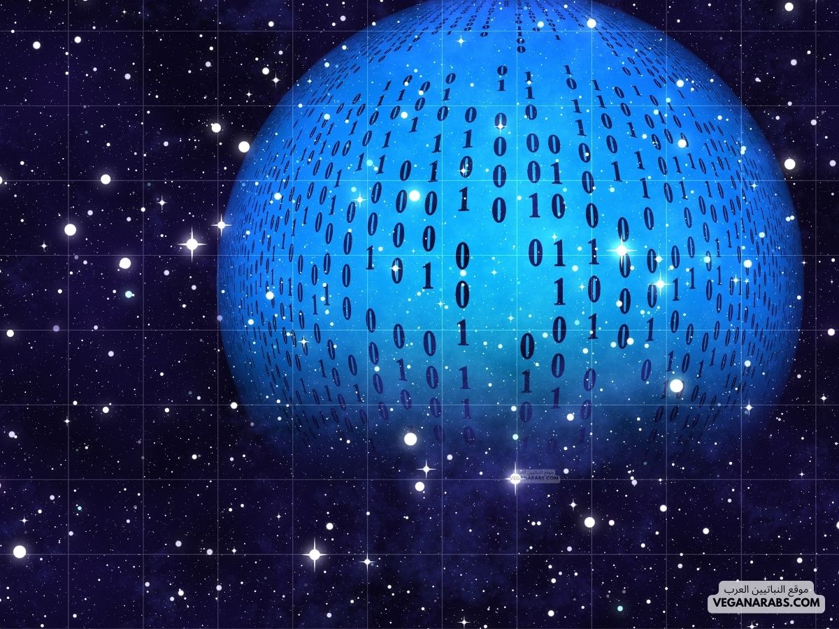 كيف أعمل سوفت وير