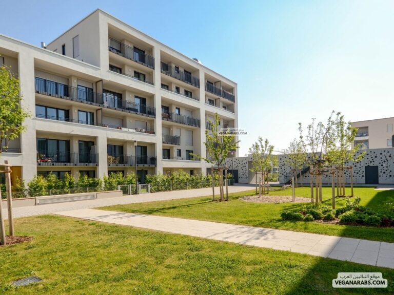 ماهو الهدف من برنامج مسرعات الاعمال من منشات