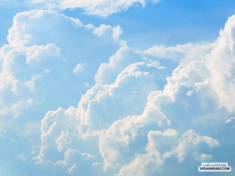 ترتيب جمل تشكل الغيوم