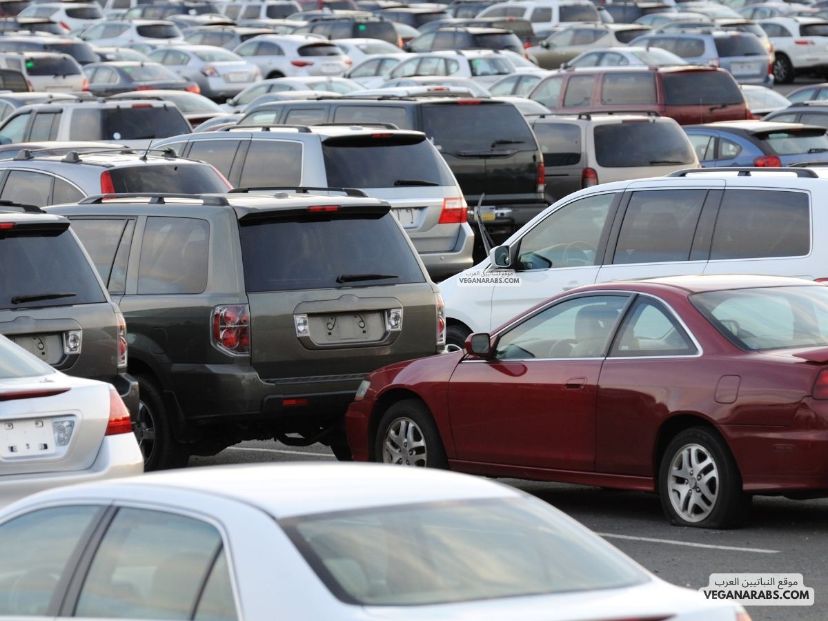 ماهو العدد المستهدف للسيارات