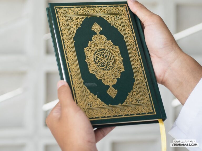 استخراج أحكام التجويد في سورة القلم كاملة