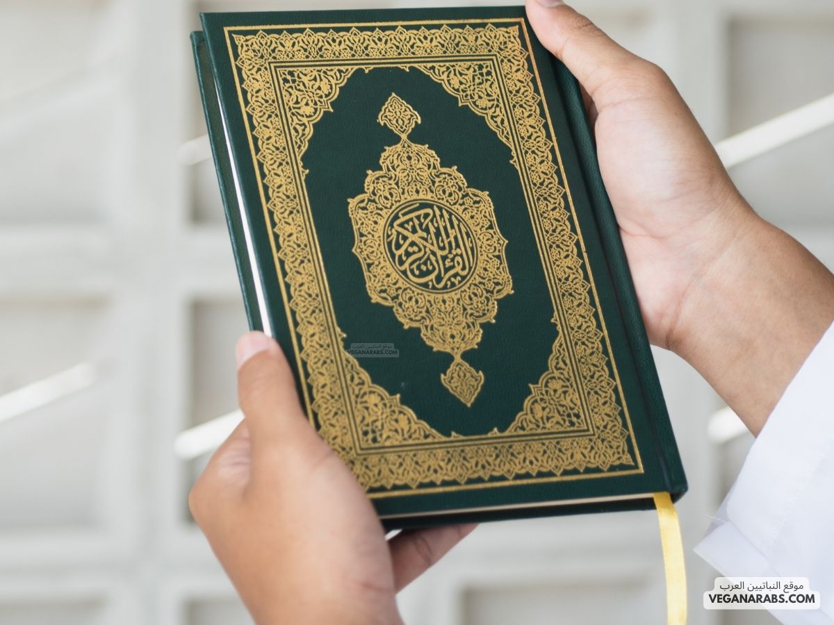 استخراج أحكام التجويد في سورة القلم كاملة