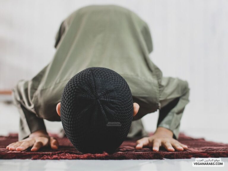 كم عدد السجدات في القران