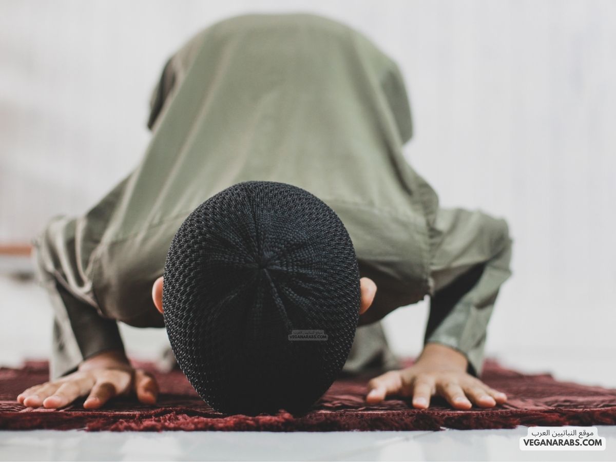 كم عدد السجدات في القران