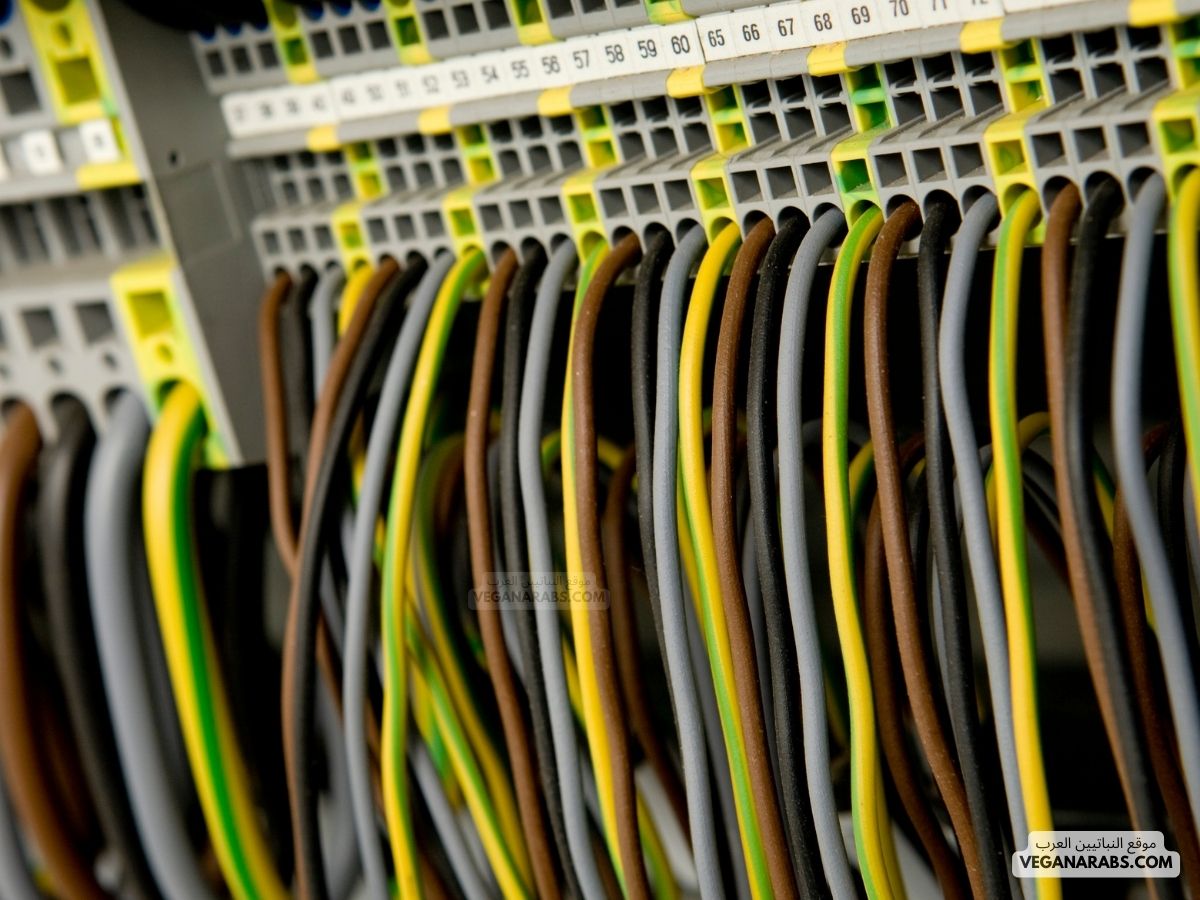 مكونات قاعدة البيانات