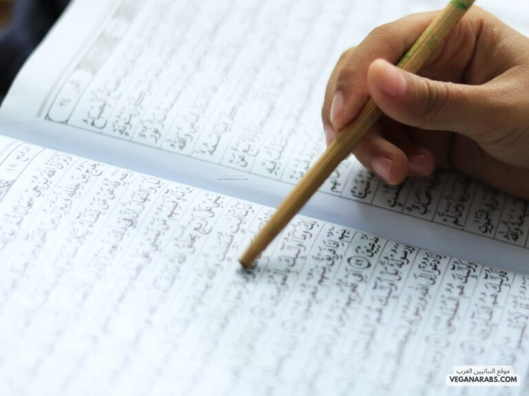 ملخص أحكام التجويد