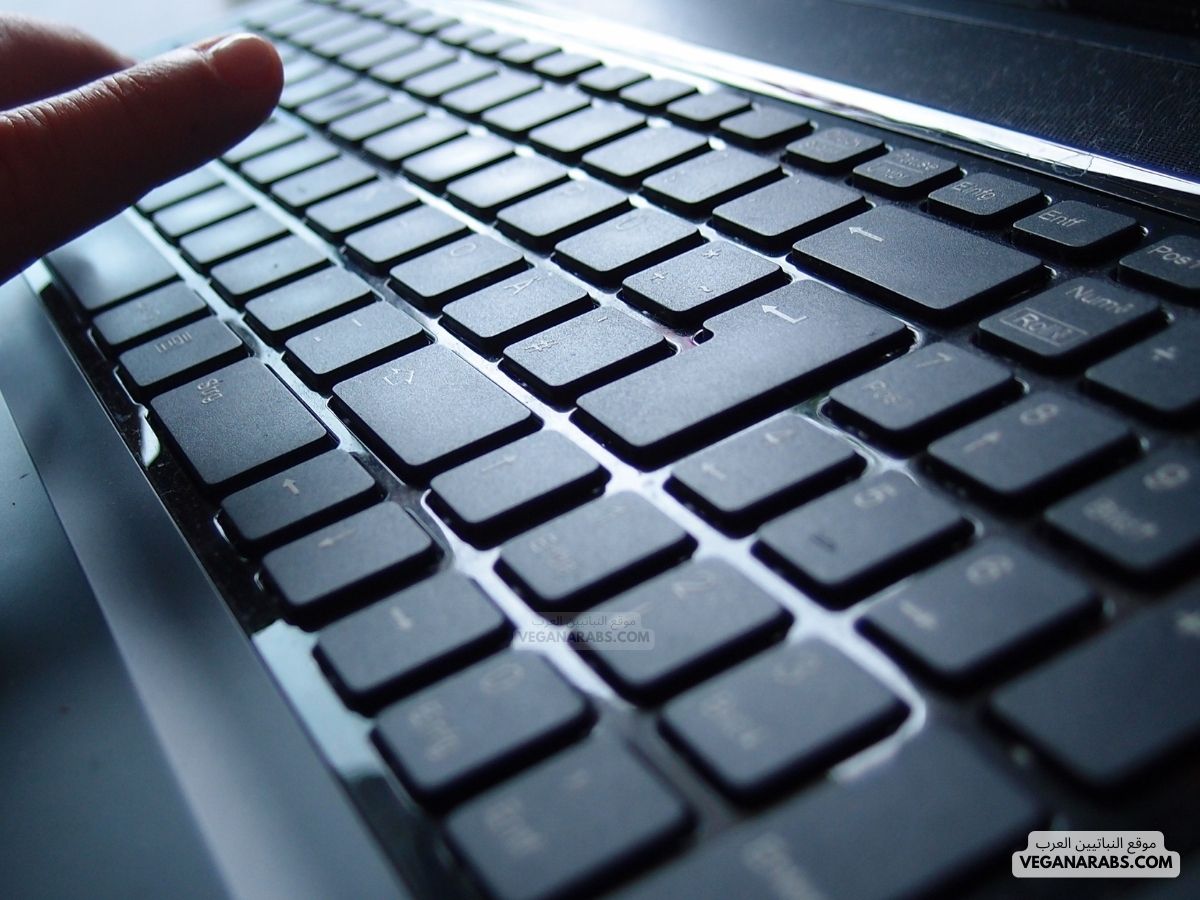 أجهزة الإدخال في الحاسوب