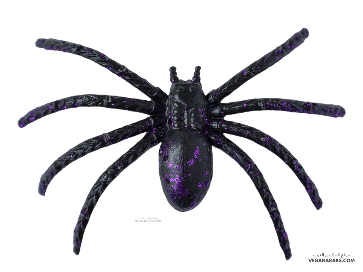 هل العنكبوت من الحشرات