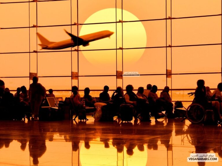 ماهو العدد المتوقع للمسافرين الذين يستوعبهم مطار الملك سلمان