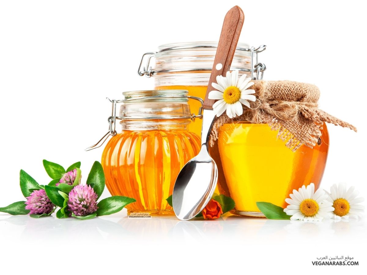 فوائد عسل البرسيم The Benefits of Clover Honey