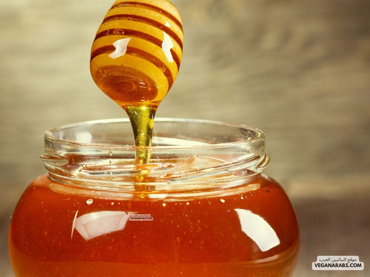 فوائد عسل السدر اليمني  The Benefits of Yemeni Sidr Honey