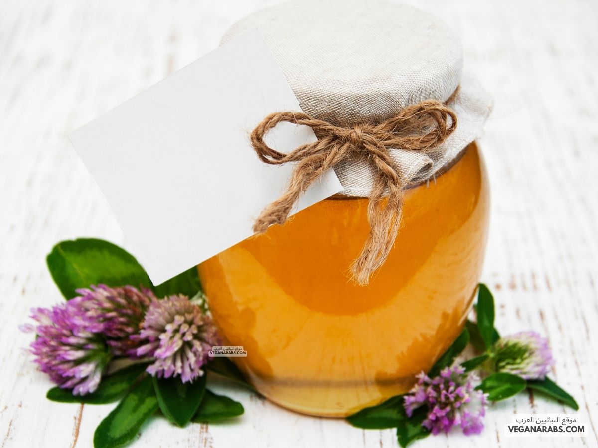 فوائد عسل زهرة البرسيم The Benefits of Clover Honey