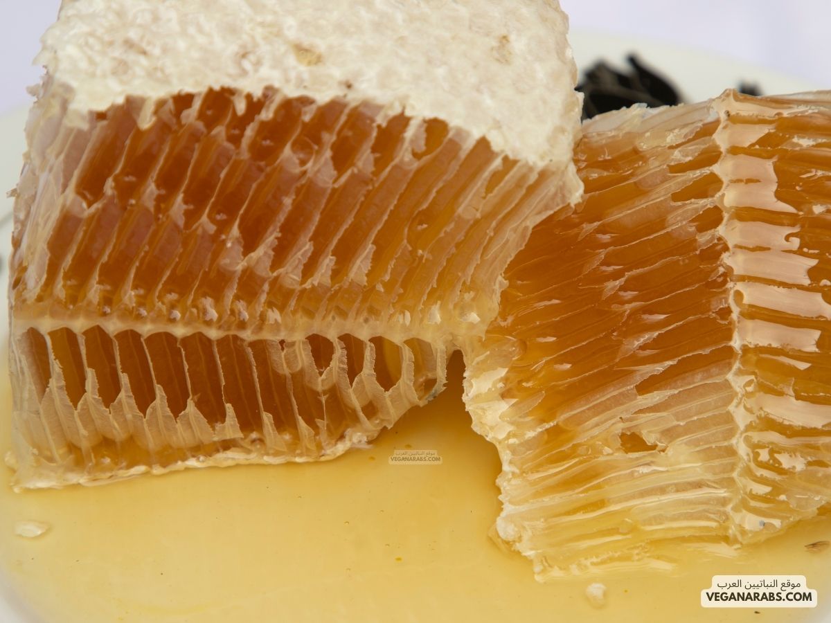كيف تعرف العسل الأصلي  How to Identify Authentic Honey