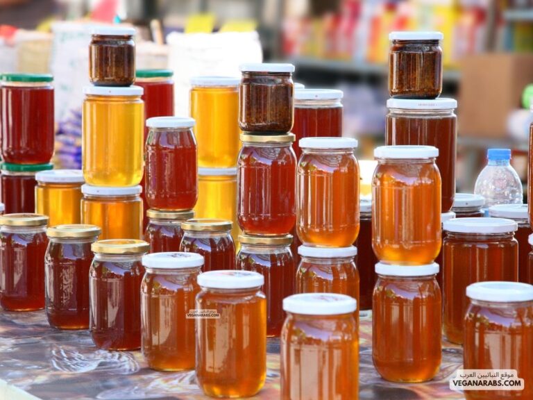 كيف نعرف العسل الأصلي How do we identify authentic honey?