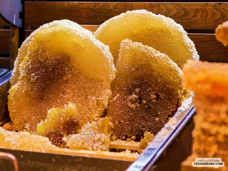 فوائد حبوب اللقاح مع العسل