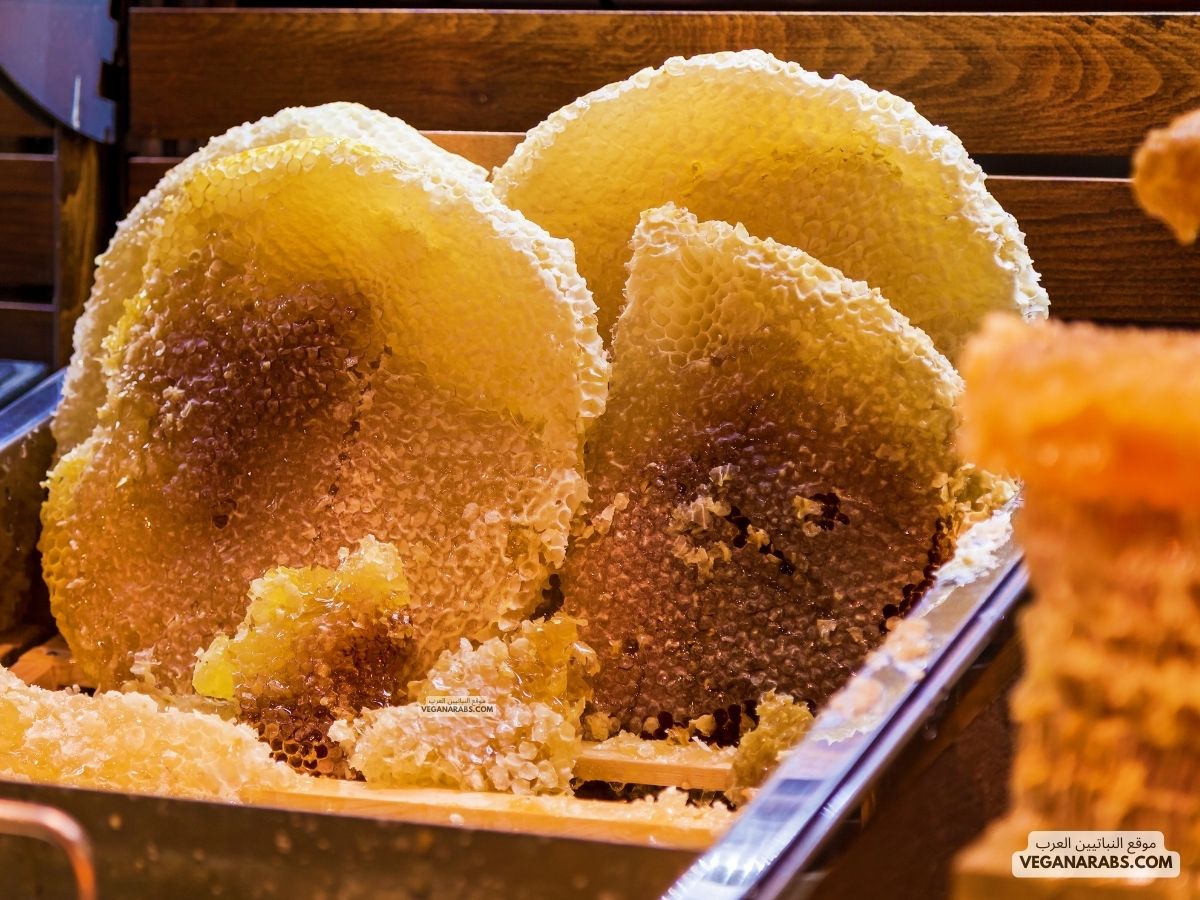 فوائد حبوب اللقاح مع العسل