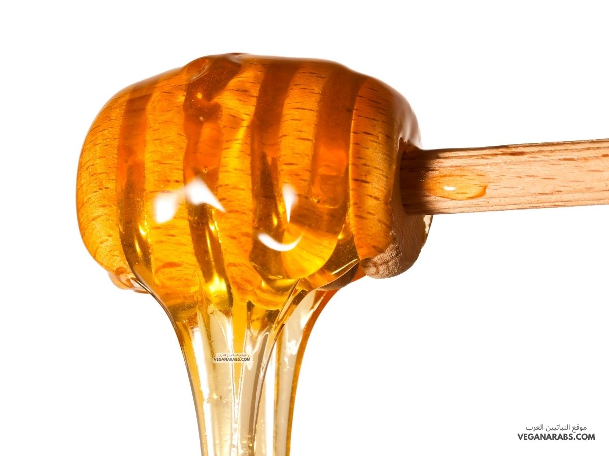 فوائد العسل على الريق للمعدة