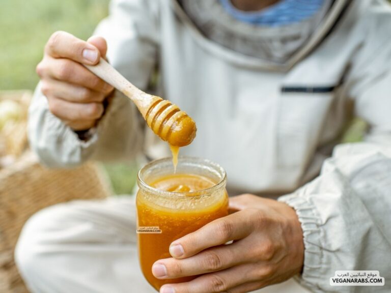 فوائد عسل السدر الجبلي